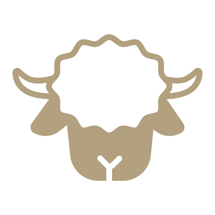 Mouton à nez noir