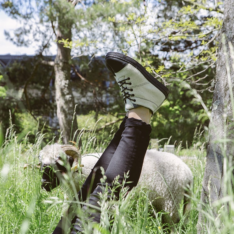 Sky Wooler - Blacknose