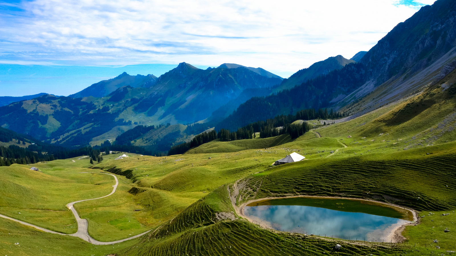 Collection suisse