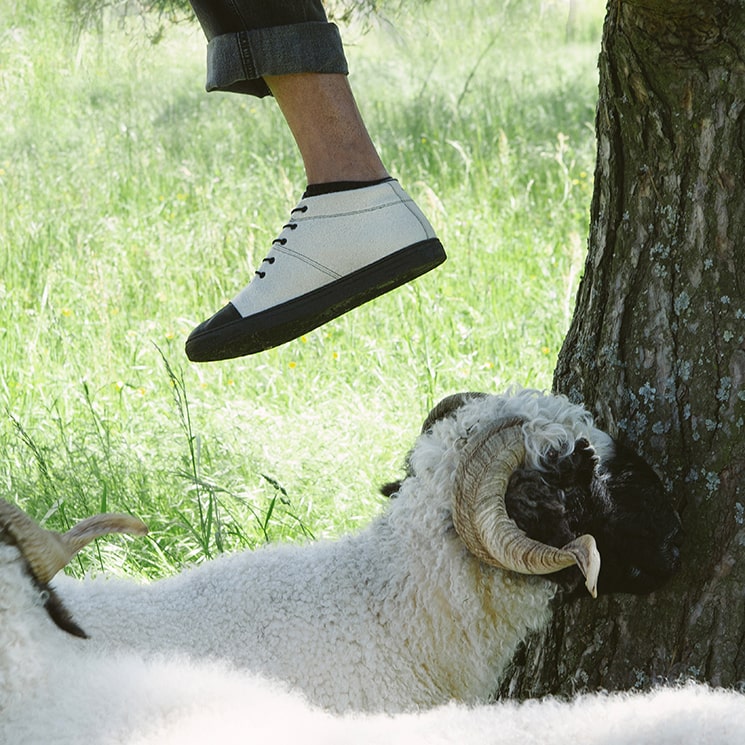 Sheep wool shoes hot sale